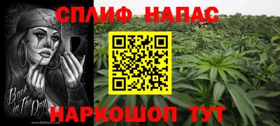 прущие грибы Нижний Тагил