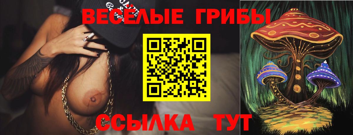 Псилоцибиновые грибы GOLDEN TEACHER Еманжелинск